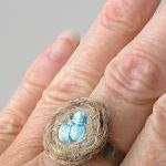 bird's nest ring